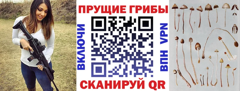 сколько стоит Абдулино Галлюциногенные грибы MAGIC MUSHROOMS
